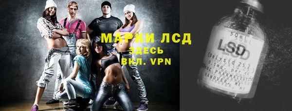 PSILOCYBIN Алзамай