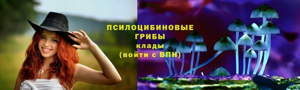 амф Алексеевка