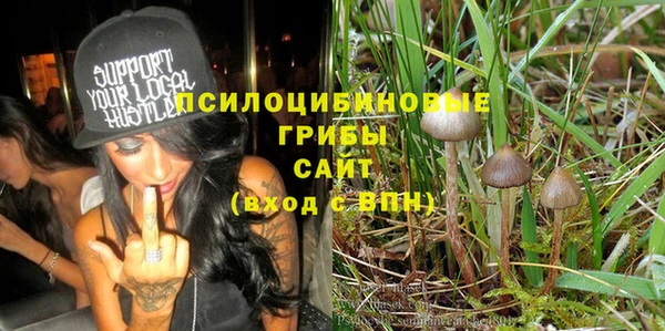 PSILOCYBIN Алзамай