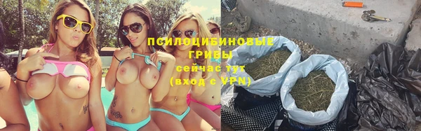 амф Алексеевка